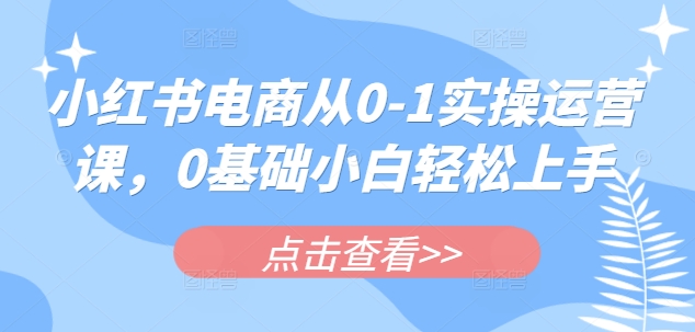 小红书电商从0-1实操运营课，0基础小白轻松上手-潜行者