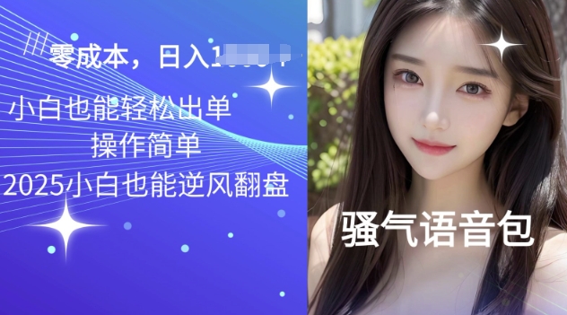 2025骚气导航语音包项目，零基础小白单日变现多张-潜行者