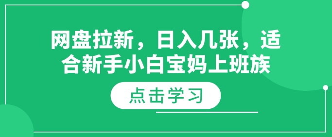 网盘拉新，日入几张，适合新手小白宝妈上班族-潜行者