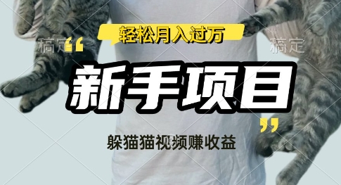 利用老外躲猫猫大赛视频，挣分成收益，操作简单，新手小白，轻松月入过W-潜行者