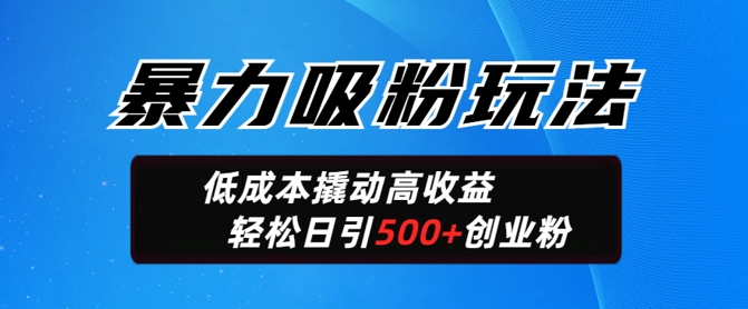暴力吸粉玩法，日引500+精准创业粉，日变现轻松多张-潜行者