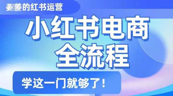 小红书电商全流程，精简易懂，从入门到精通，学这一门就够了-潜行者