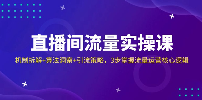（14122期）直播间流量实操课：机制拆解+算法洞察+引流策略，3步掌握流量运营核心逻辑-潜行者