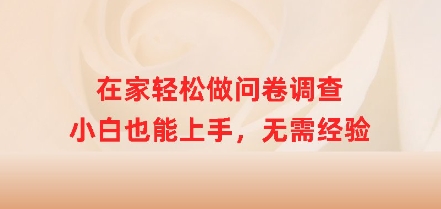 在家轻松做问卷调查，小白也能上手，无需经验-潜行者