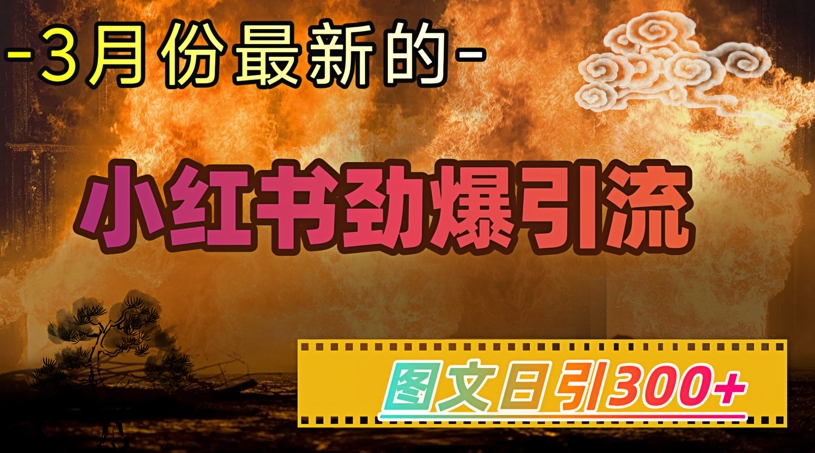 小红书超劲爆引流手段，图文日引300+轻松变现1W-潜行者