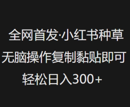 全网首发，小红书种草无脑操作，复制黏贴即可，轻松日入3张-潜行者