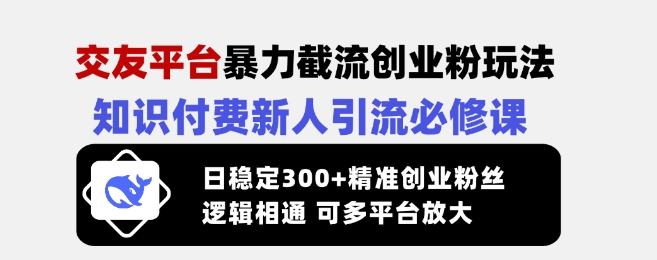 交友平台暴力截流创业粉玩法，知识付费新人引流必修课，日稳定300+精准创业粉丝，逻辑相通可多平台放大-潜行者
