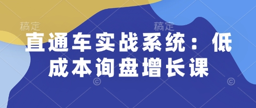 直通车实战系统：低成本询盘增长课，让个人通过技能实现升职加薪，让企业低成本获客，订单源源不断-潜行者