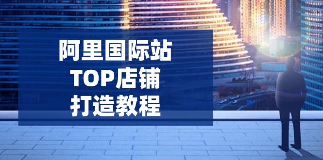 （14269期）阿里国际站TOP店铺打造教程：涵盖平台到高阶，解决运营难题，提升询盘-潜行者