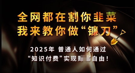 知识付费如何做到月入过W+，2025我来教你做“镰刀”【揭秘】-潜行者