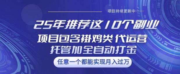 25年推荐这10个副业项目包含褂鸡类、代运营托管类、全自动打金类【揭秘】-潜行者