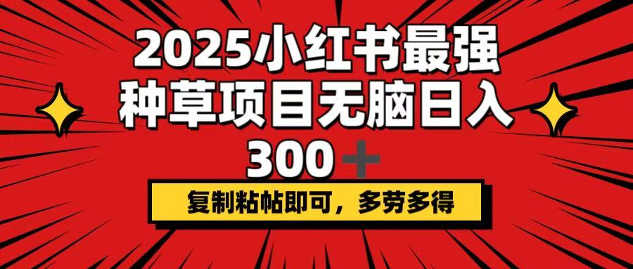 （14375期）2025小红书最强种草项目，无脑日入300+，复制粘帖即可，多劳多得-潜行者