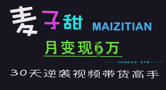 麦子甜30天逆袭视频带货高手，单月变现6W加特训营-潜行者