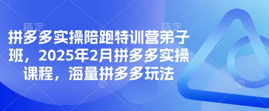拼多多实操陪跑特训营弟子班，2025年2月拼多多实操课程，海量拼多多玩法-潜行者