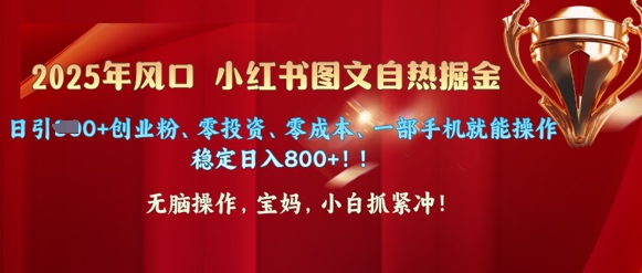25年风口小红书图文掘金，日引300+创业粉、零投资、零成本、一部手机就能操作-潜行者