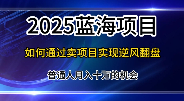 2025蓝海项目，普通人如何通过卖项目实现逆风翻盘，月入10个【揭秘】-潜行者