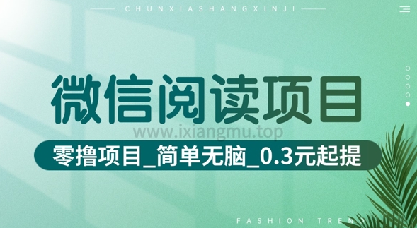 微信阅读项目_零撸项目+简单无脑+0.3元起提(六大平台合集汇总)-潜行者