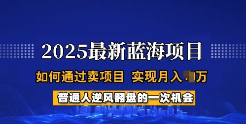2025蓝海项目，普通人如何通过卖项目，实现月入过W，全过程【揭秘】-潜行者