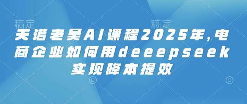 天诺老吴AI课程2025年，电商企业如何用deeepseek实现降本提效-潜行者
