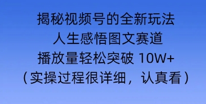 Deepseek和即梦结合，做一个【人生图文感悟】的视频号-潜行者