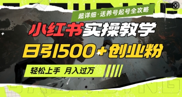2月小红书最新日引500+创业粉实操教学【超详细】小白轻松上手，月入1W+，附小红书养号起号SOP-潜行者