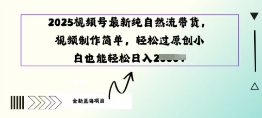 2025视频号最新纯自然流带货， 视频制作简单，轻松过原创小 白也能轻松操作-潜行者