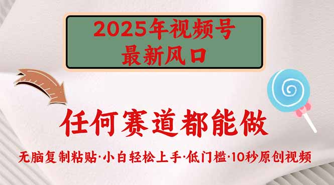 （14453期）2025年视频号新风口，低门槛只需要无脑执行-潜行者