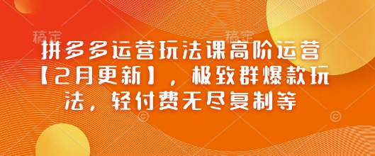 拼多多运营玩法课高阶运营【2月更新】，极致群爆款玩法，轻付费无尽复制等-潜行者