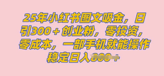 2025年小红书创业粉图文自热教程，日+300创业粉，单日变现多张，无脑操作，宝妈，小白抓紧冲-潜行者