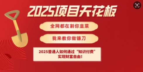2025项目天花板普通人如何通过知识付费，实现财F自由【揭秘】-潜行者