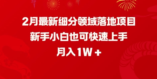 2月最新细分领域落地项目，新手小白也可快速上手，月入1W-潜行者