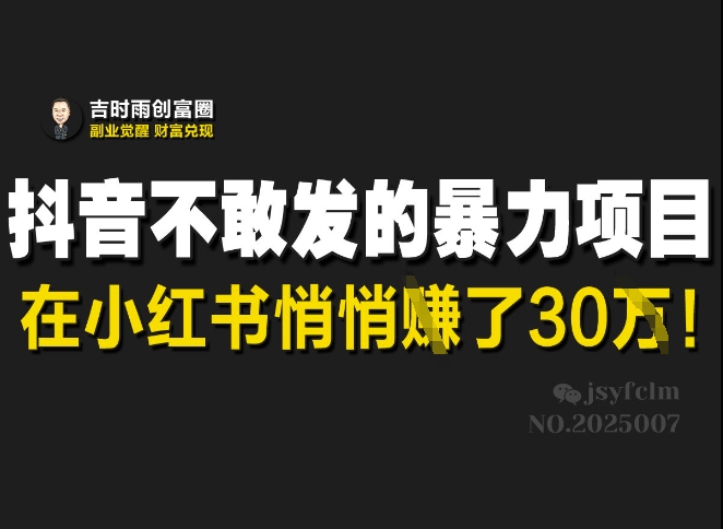 抖音不敢发的暴利项目，在小红书悄悄挣了30W-潜行者