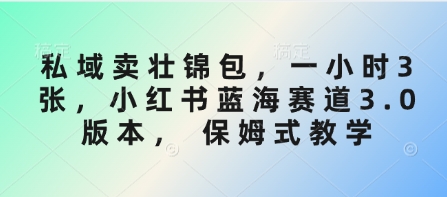 私域卖壮锦包，一小时3张，小红书蓝海赛道3.0版本， 保姆式教学-潜行者