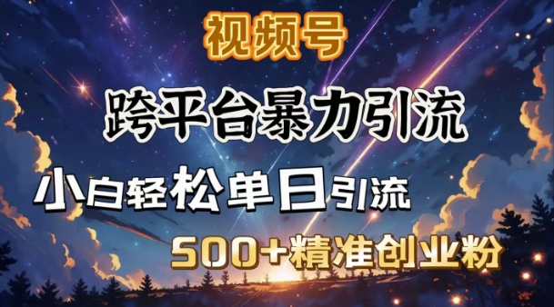 跨平台暴力引流，私域完美闭环，日引500+精准创业粉-潜行者