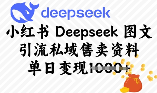 小红书Deepseek 图文引流私域售卖资料，单日变现多张-潜行者