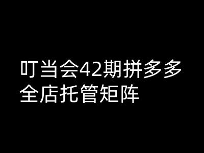 叮当会拼多多打爆班原创高阶技术第42期，拼多多全店托管矩阵-潜行者